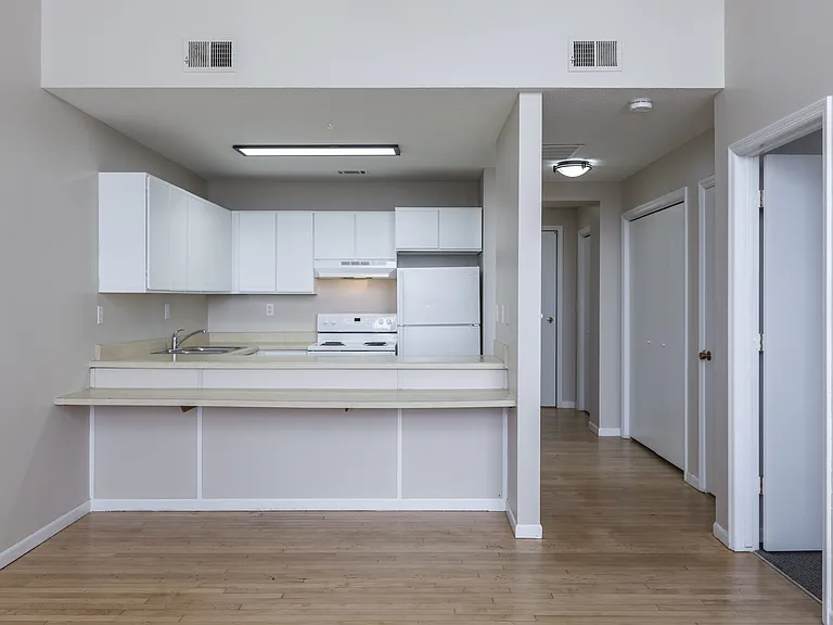 Unit kitchen and living room at Rosewater.