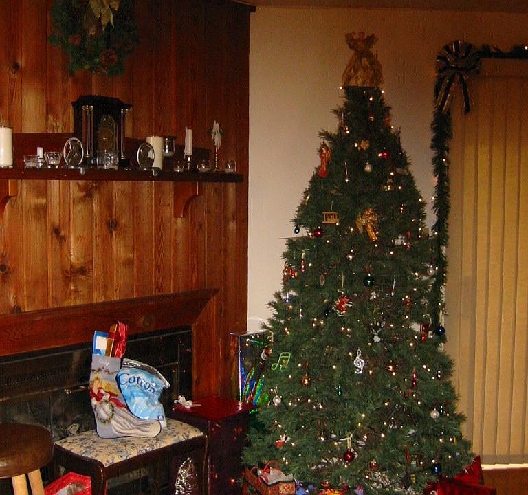 Living Room w/fireplace