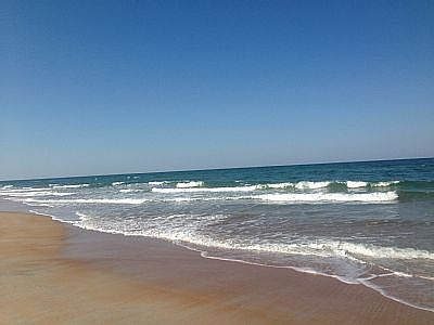 1st image of 1601 Ocean Shore Blvd