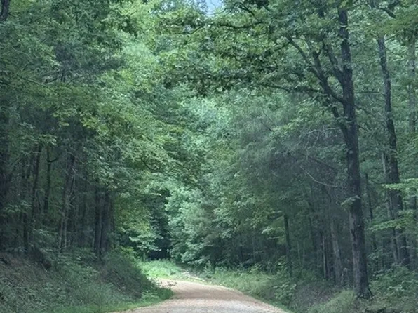 0 Old State Highway 69, Sugar Tree, TN 38380