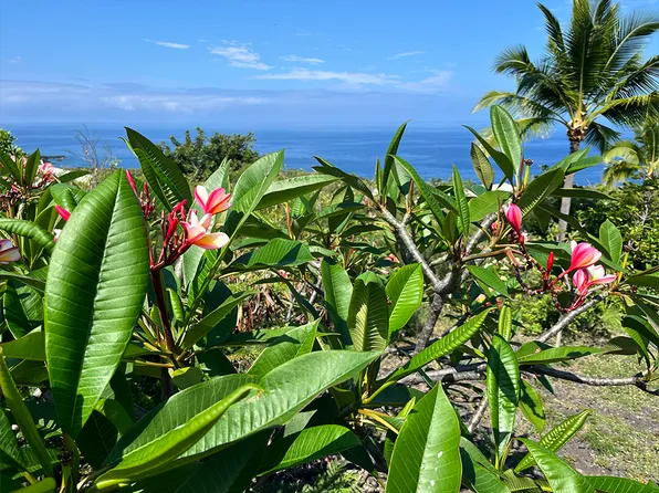 Kaohe Rd Lot 291, Captain Cook, HI 96704