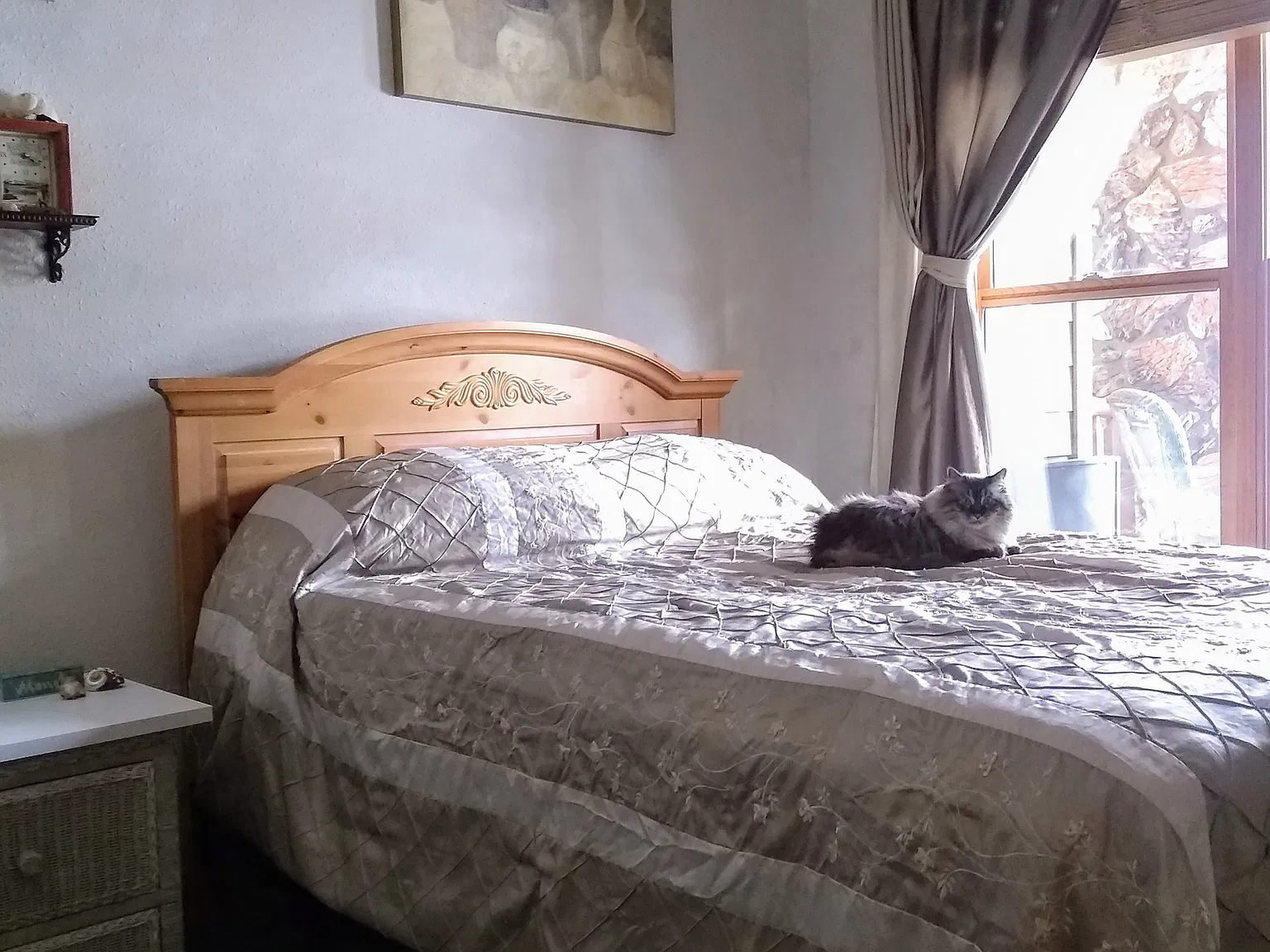 2 bed, 600 sqft, $985 — Photo 4