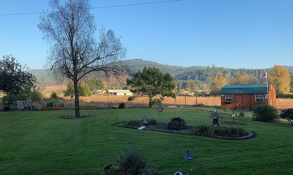 Back yard 