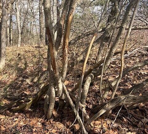 5th image of 4 Mile Rd