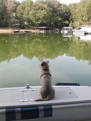 1st image of 3447 Dockside Shores Dr