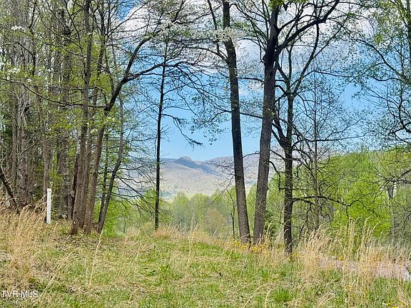 2nd image of 160 Bob's Hollow Rd