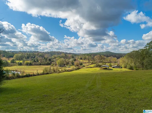 0 Brownsville Loop #1, Goodwater, AL 35072