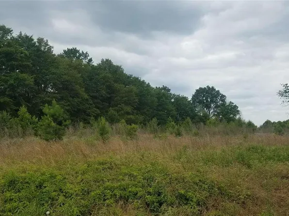Highway 385, Bennettsville, SC 29512