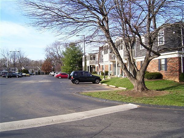 Picture 001