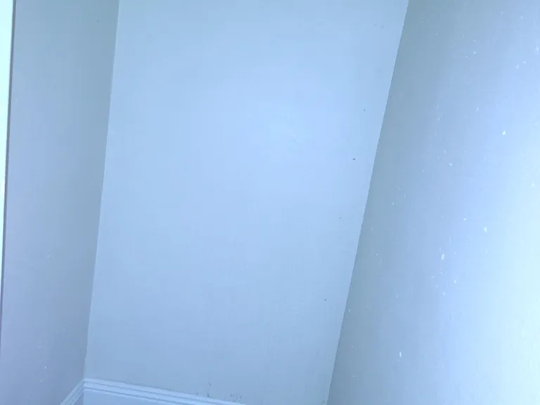 2517 Cedar Ave #3 — Photo 14