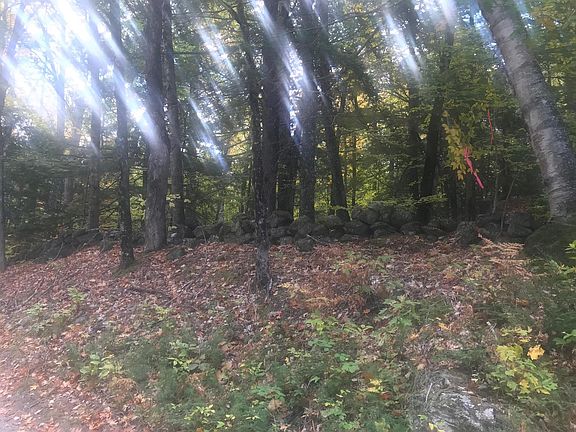4th image of 21612 Upper Road