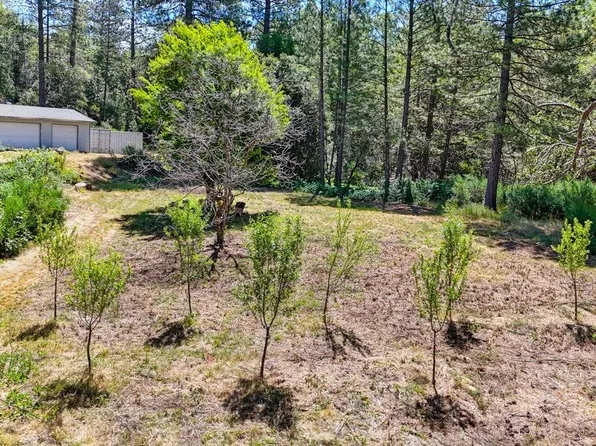 5233 Hackomiller Rd, Garden Valley, CA 95633