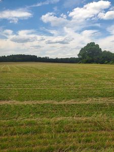 0 Taylorsville Macedonia Rd Tract 1, Taylorsville, GA, 30178