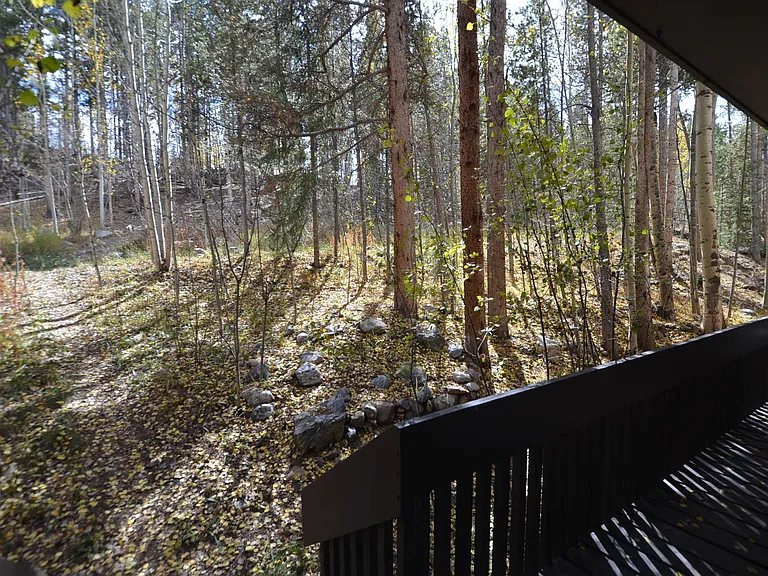 501 Asgard Haus 246 Broken Lance Dr #501 — Photo 15