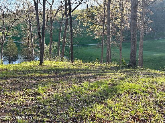 3rd image of LOT 9 Birdie Hill Rd