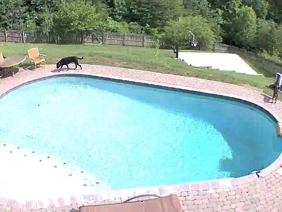2nd image of 1700 Mountain Lake Ln