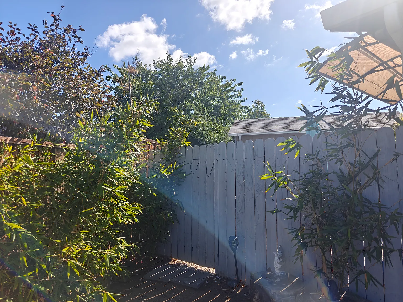 1149 Butte Ct — Photo 1