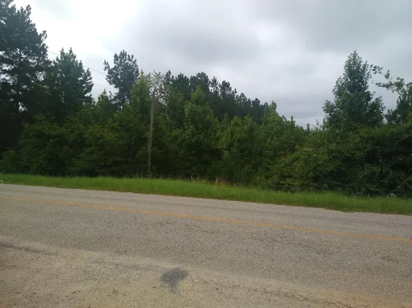 TRACT 3 Mark Walden Road, Blythe, GA
