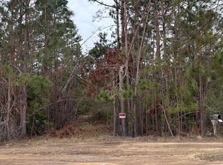 223 Hill Rd, Lyons, GA 30436