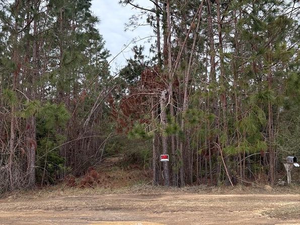223 Hill Rd, Lyons, GA 30436