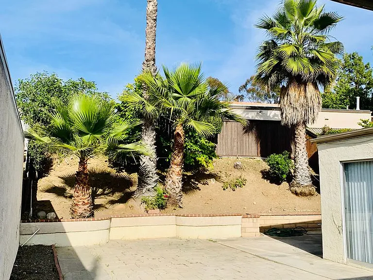 31192 Calle San Pedro — Photo 11