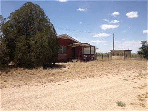 1st image of 1804 W Lorene Dr