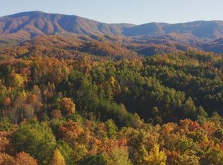 410 Seay Hollow Rd, Del Rio, TN 37727