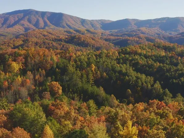 410 Seay Hollow Rd, Del Rio, TN 37727