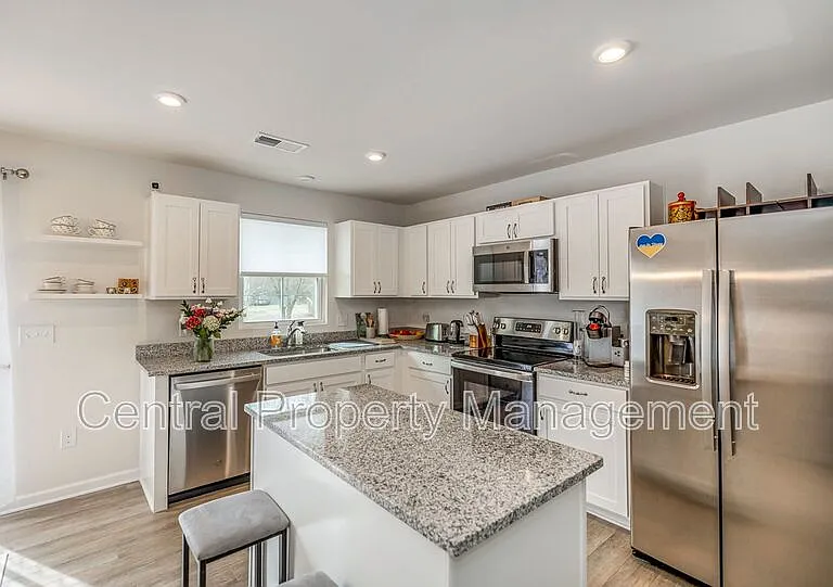 225 Coldwater Creek Ct — Photo 9