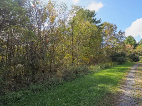 Blue Lake Ln Lot 40, Laurel Fork, VA 24352