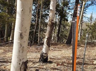 826 Princess Rd, Cripple Creek, CO 80813