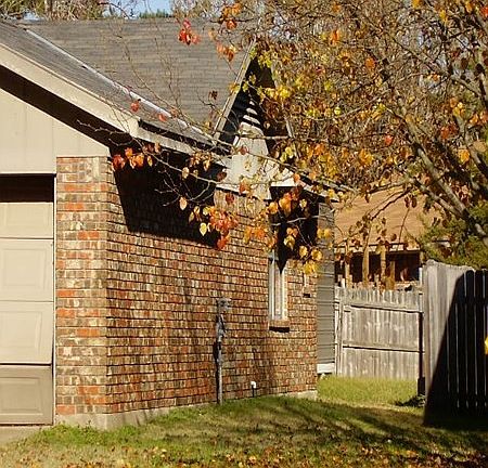 4th image of 9811 Driftwood Cir