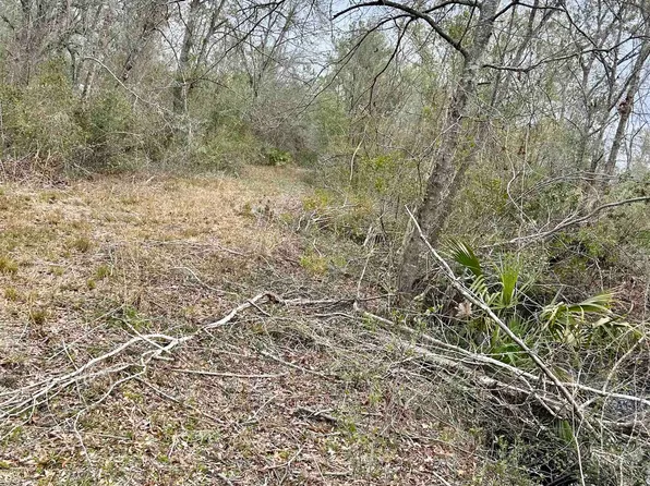 4899 Hampton Springs Rd, Perry, FL 32348