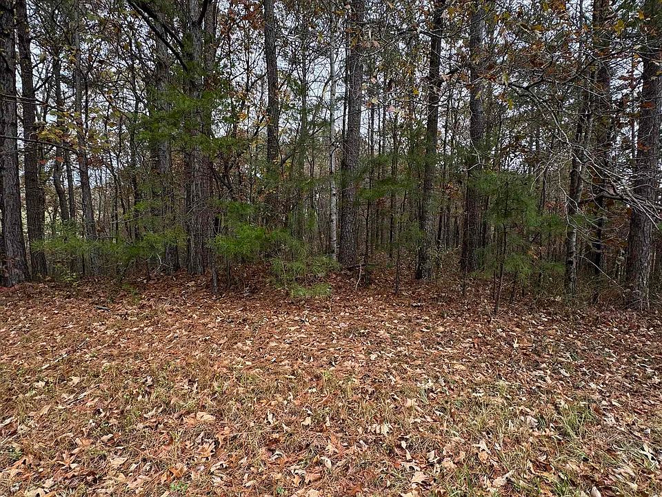 2nd image of 7/ACRE S Highway 431