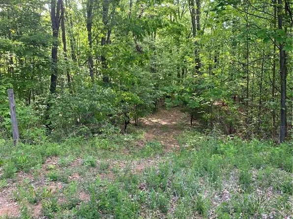 0 Angle St, Purlear, NC 28665