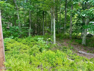 210 Maple Ridge Dr, Hawley, PA, 18428