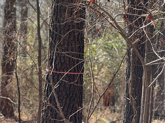 4th image of 3075 Wilfred Dr