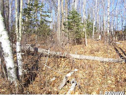 4th image of 0 Barker Lake Road