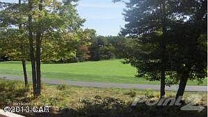 MAIER VIEW