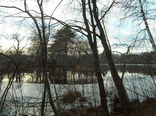 View of Lake