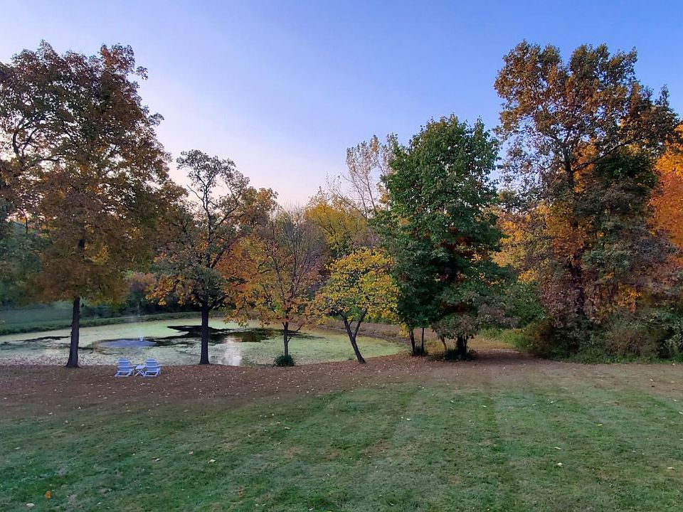 Backyard in Fall