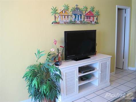 Living Room 3