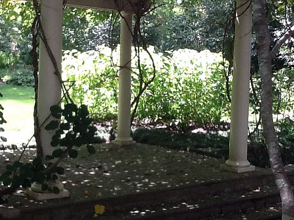 Pergola shaded with kiwivine