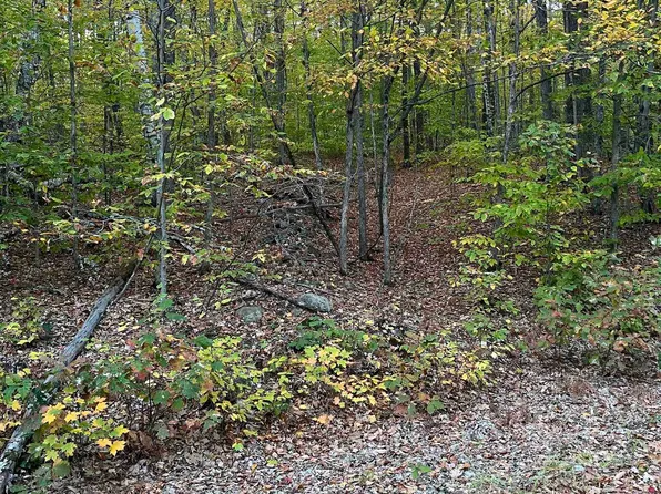 10-4-1 David Thompson Drive, Campton, NH 03223