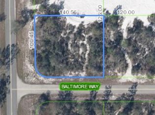 100 Baltimore Way, Lake Placid, FL 33852