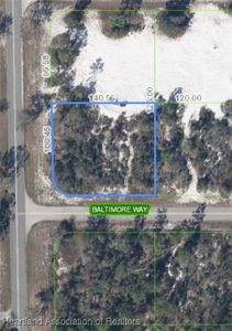 100 Baltimore Way, Lake Placid, FL, 33852