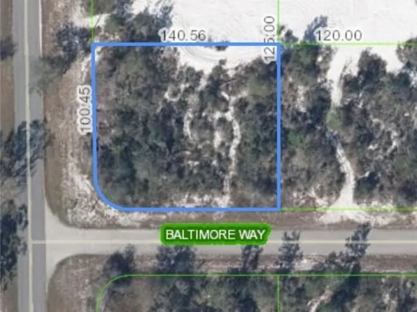 100 Baltimore Way, Lake Placid, FL 33852