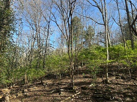 5th image of 4921 Gann Store Rd