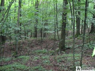 0 Crawford Creek Rd, Caneadea, NY 14717