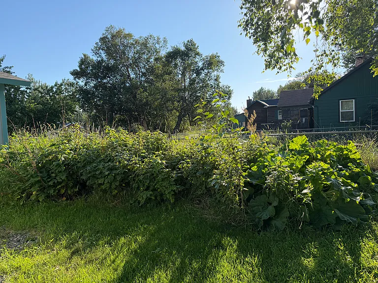 455 E Caribou Ave — Photo 16